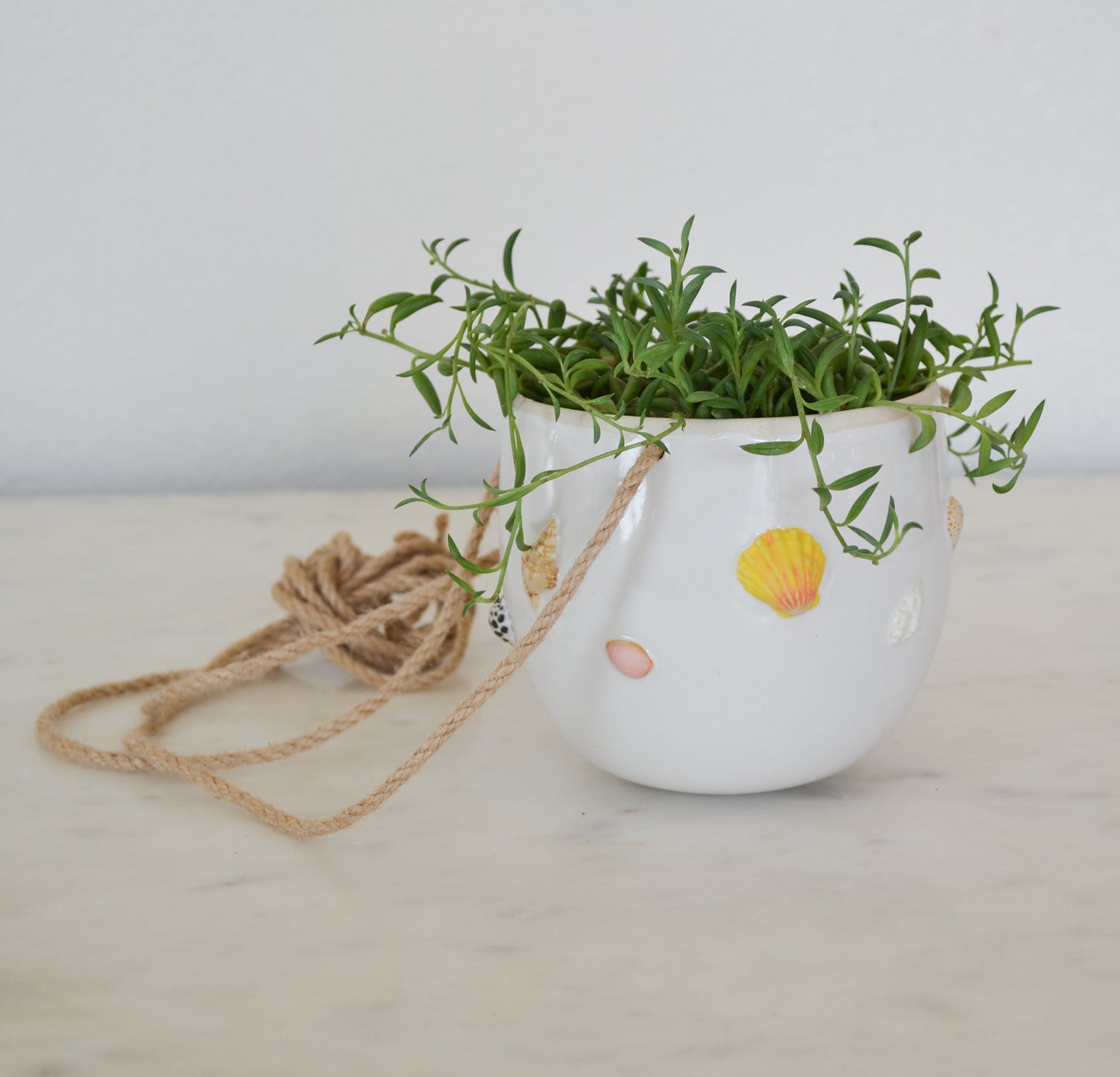 Hawaiian Shell Hanging Planter