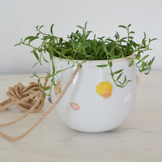 Hawaiian Shell Hanging Planter