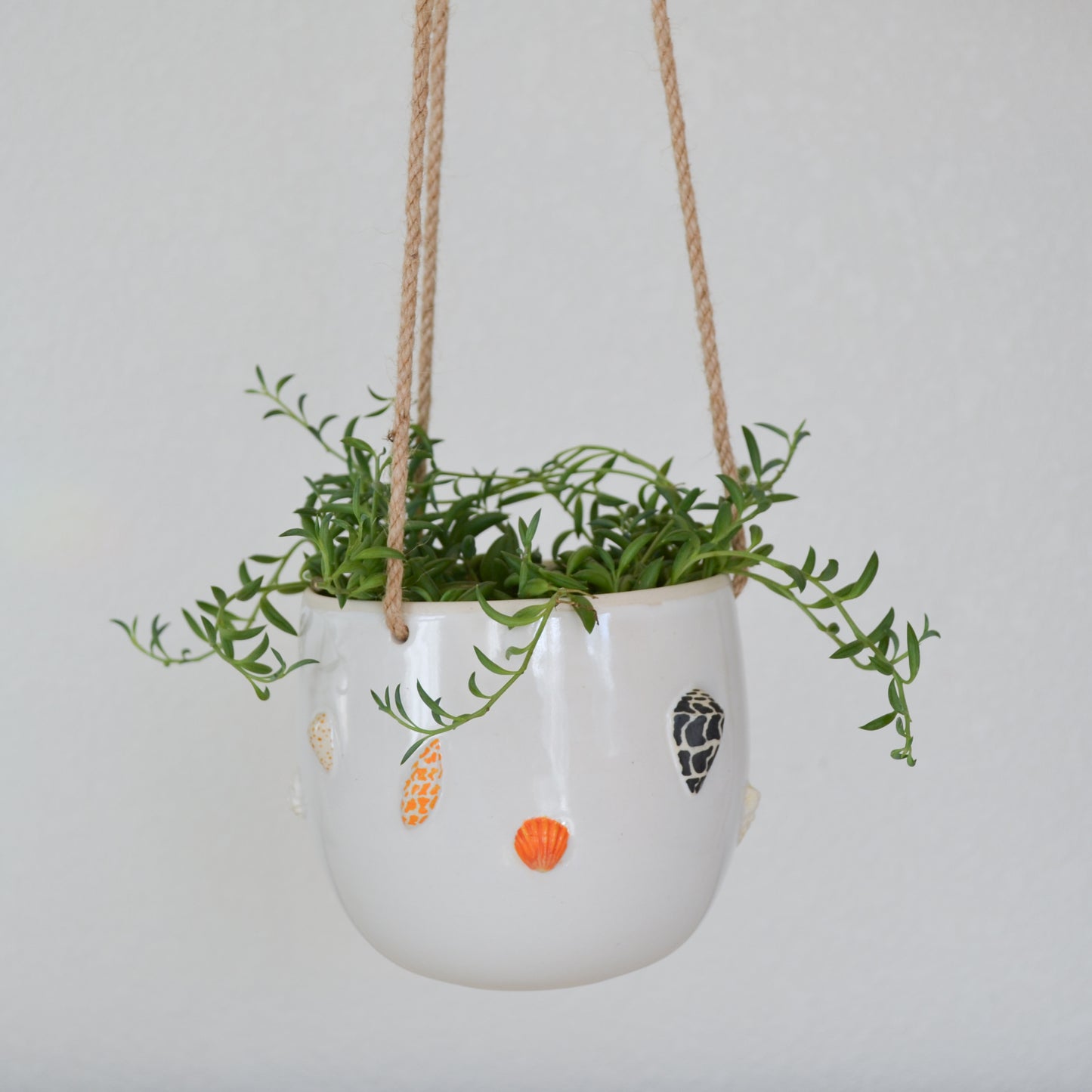 Hawaiian Shell Hanging Planter