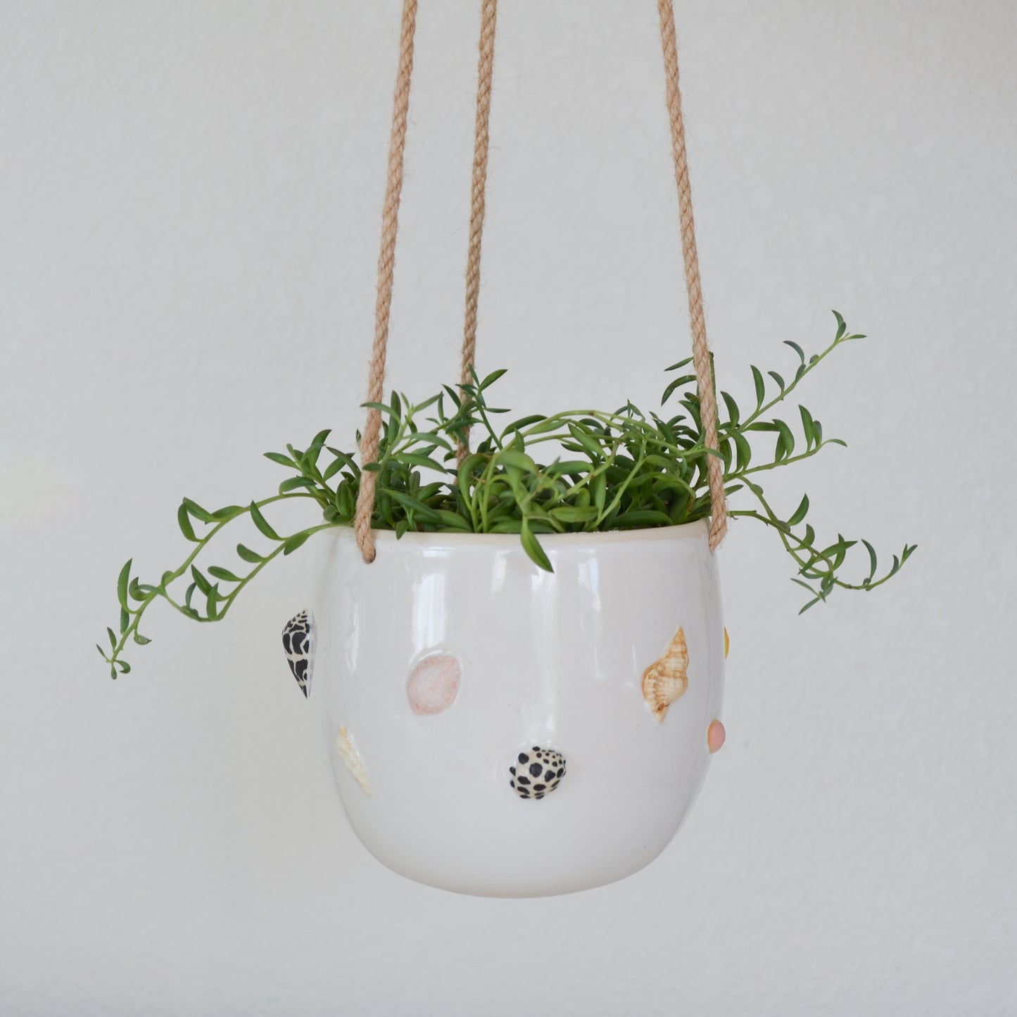 Hawaiian Shell Hanging Planter