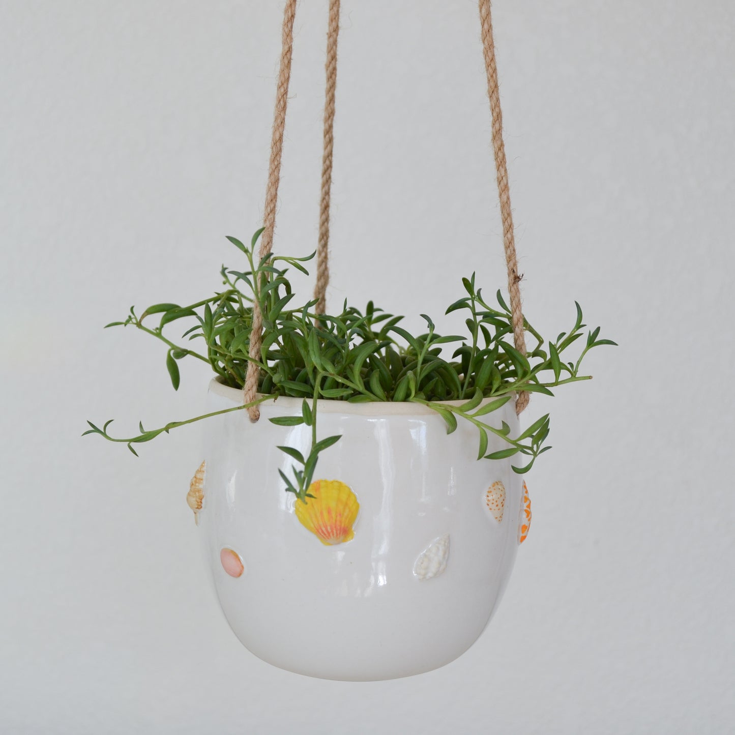 Hawaiian Shell Hanging Planter