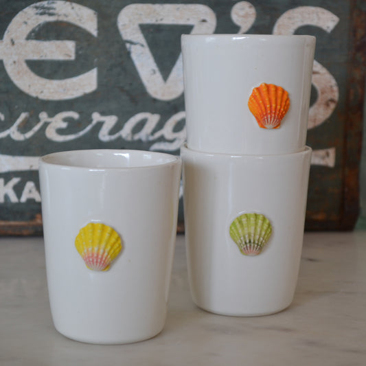 Sunrise Shell Cup
